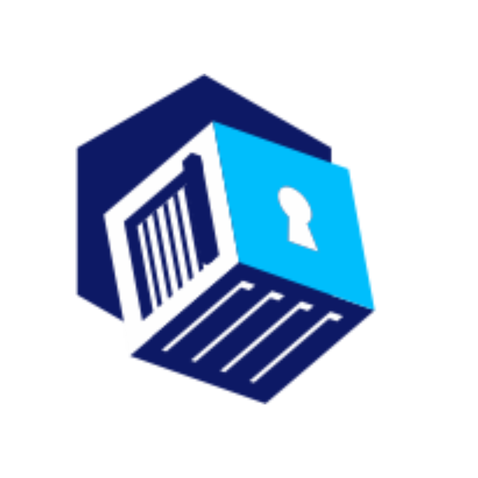 Storapedia Icon